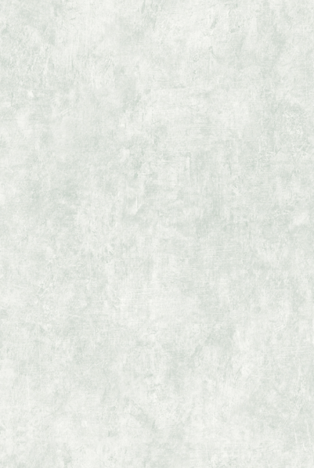 Фон PALMIRA 283203