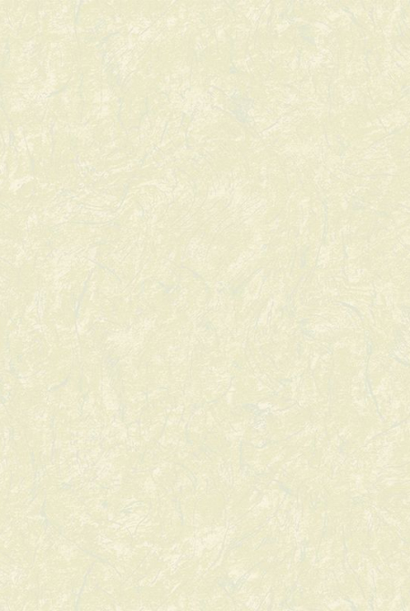 Фон PAULINA 888663