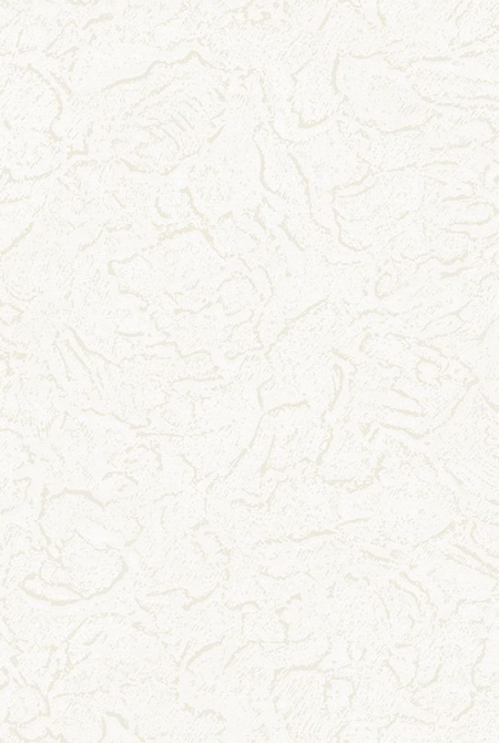 Фон COMPASS 888681